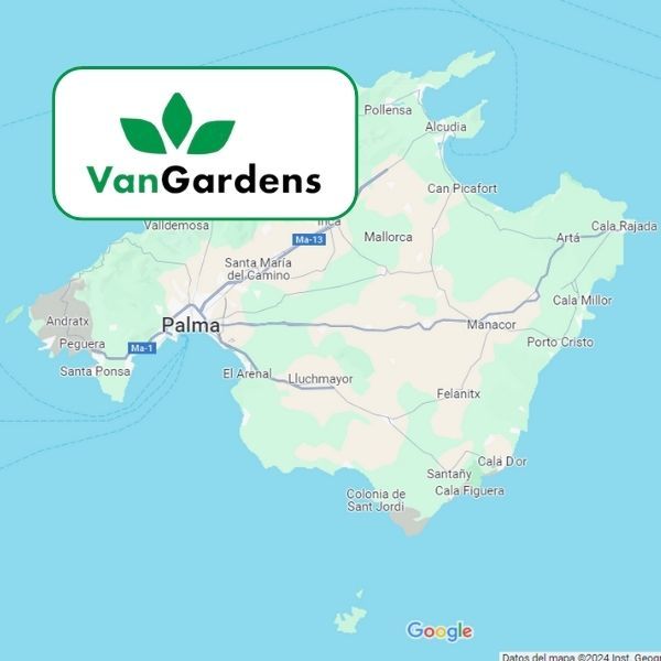 ubicacion Vangarden Mallorca