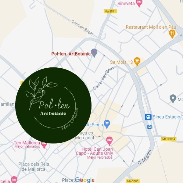 donde comprar flores en sineu